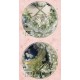 Bramble Rose Glazed Flower Stream OPs(Reservation/4 Colours/Full Payment Without Shipping)